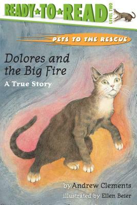 Dolores and the Big Fire: Dolores and the Big Fire by Andrew Clements