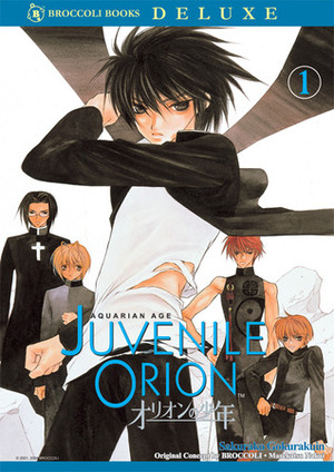 Aquarian Age: Juvenile Orion, Vol. 1 by Sakurako Gokurakuin