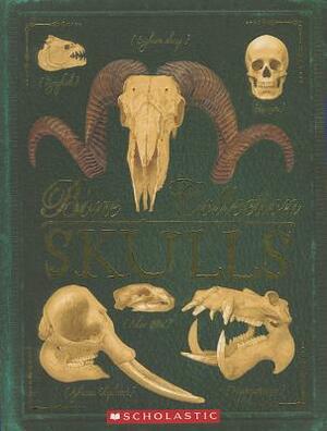 Bone Collection: Skulls by Camilla de la Bédoyère