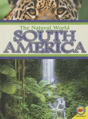 South America by Lyn Sirota