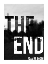 The End by Adam M. Booth