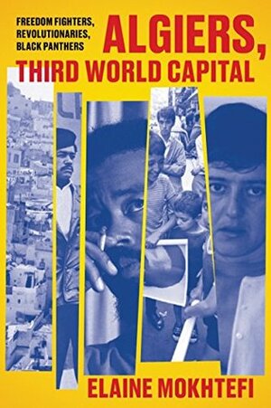 Algiers, Third World Capital: Freedom Fighters, Revolutionaries, Black Panthers by Elaine Mokhtefi