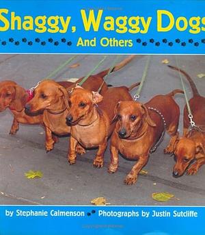 Shaggy, Waggy Dogs by Stephanie Calmenson