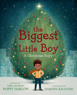 The Biggest Little Boy: A Christmas Story by Poppy Harlow, Ramona Kaulitzki