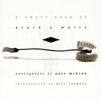 A Small Book of Black and White Lies by Dave McKean, Bill Laswell