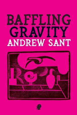 Baffling Gravity by Andrew Sant