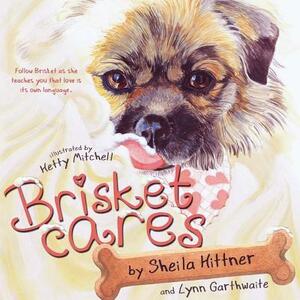 Brisket Cares: Love is its own language by Lynn Garthwaite, Sheila Hittner