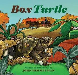 Box Turtle by John Himmelman