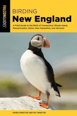 Birding New England: A Field Guide to the Birds of Connecticut, Rhode Island, Massachusetts, Maine, New Hampshire, and Vermont by Nic Minetor, Randi Minetor