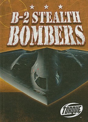 B-2 Stealth Bombers by Jack David