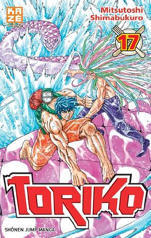 Toriko, Tome 17 by Mitsutoshi Shimabukuro