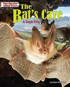 The Bat's Cave: A Dark City by Joyce L. Markovics