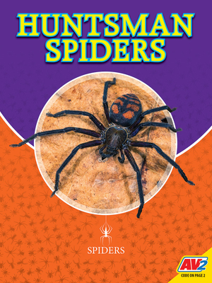 Huntsman Spiders by John Willis