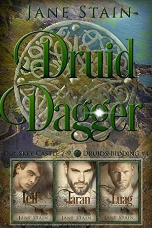 Druid Dagger: Dunskey Castle 7-9 by Jane Stain