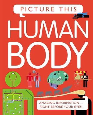 Picture This! Human Body: Amazing Information-Right Before Your Eyes by Margaret Hynes