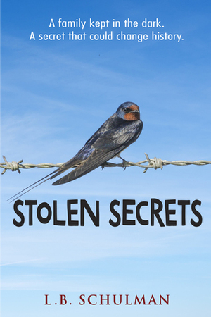 Stolen Secrets by L.B. Schulman