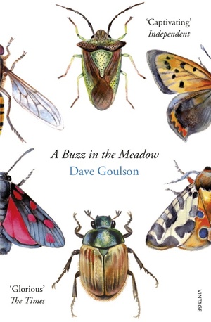 A Buzz in the Meadow by Dave Goulson