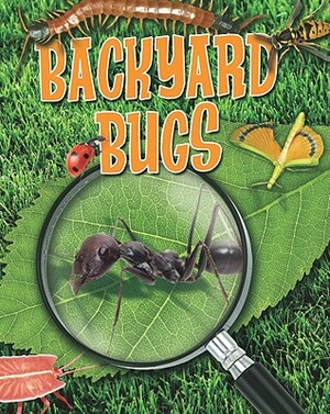 Backyard Bugs by Louise A. Spilsbury
