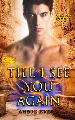 Till I See You Again by Annie Evers