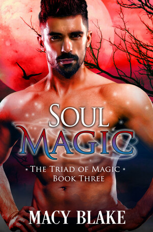 Soul Magic by Macy Blake, Poppy Dennison