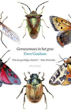 Geroezemoes in het gras by Dave Goulson, Nico Groen