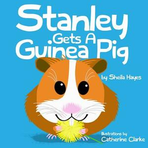 Stanley Gets a Guinea Pig by Sheila Hayes