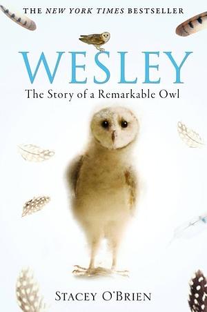 Wesley: The Story of a Remarkable Owl by Chiara Brovelli, Stacey O'Brien