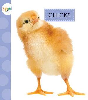 Chicks by Anastasia Suen