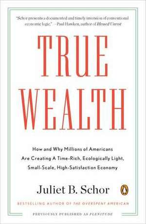 True Wealth: How and Why Millions of Americans Are Creating a Time-Rich, Ecologically Light, Small-Scale, High-Satisfaction Economy by Juliet B. Schor