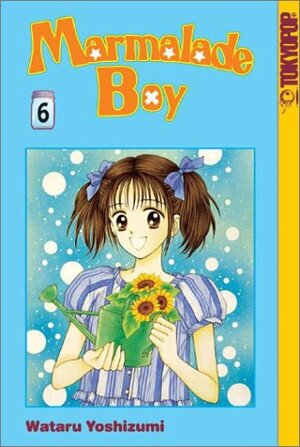 Marmalade Boy, Vol. 6 by Wataru Yoshizumi