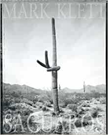 Mark Klett: Saguaros by Mark Klett