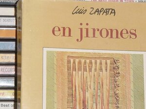 En jirones by Luis Zapata