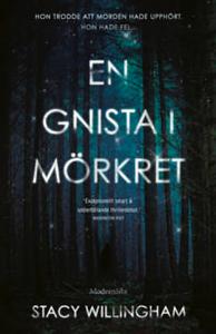 En gnista i mörkret by Stacy Willingham