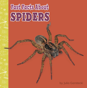 Fast Facts about Spiders by Julia Garstecki