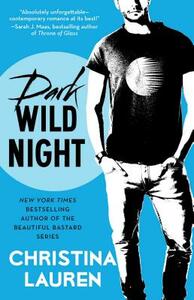 Dark Wild Night by Christina Lauren