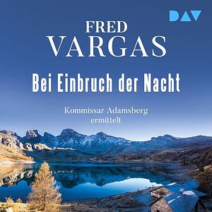 Bei Einbruch der Nacht by Fred Vargas