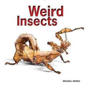 Weird Insects by Stephen Marshall, Stephen Marshall