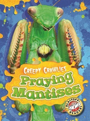 Praying Mantises by Megan Borgert-Spaniol