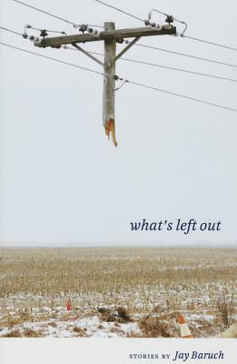 What's Left Out: Stories by Jay Baruch