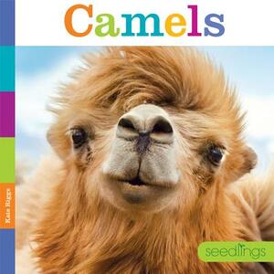 Seedlings Camels by Kate Riggs