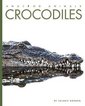 Crocodiles by Valerie Bodden