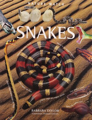 Snakes (Nature watch) by Barbara Taylor