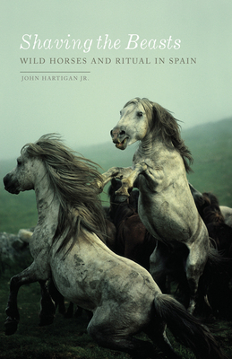 Shaving the Beasts: Wild Horses and Ritual in Spain by John Hartigan Jr