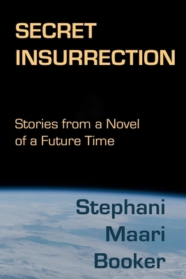 Secret Insurrection: Stories from a Novel of a Future Time by Stephani Maari Booker