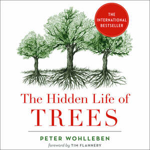 The Hidden Life of Trees: What They Feel, How They Communicate by Peter Wohlleben