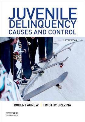 Juvenile Delinquency: Causes and Control by Timothy Brezina, Robert Agnew