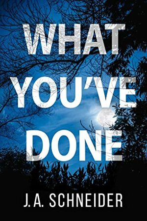 What You've Done by J.A. Schneider
