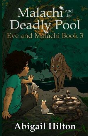 Malachi and the Deadly Pool by Abigail Hilton