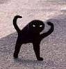 cominguproses's profile picture
