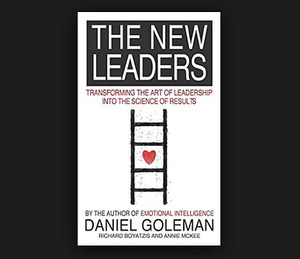 The New Leaders: Transforming The Art Of Leadership Into The Science Of Results by Daniel Goleman